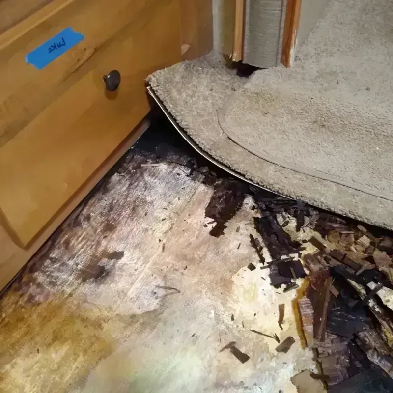 Wood Floor Water Damage in Lake Lorraine, FL